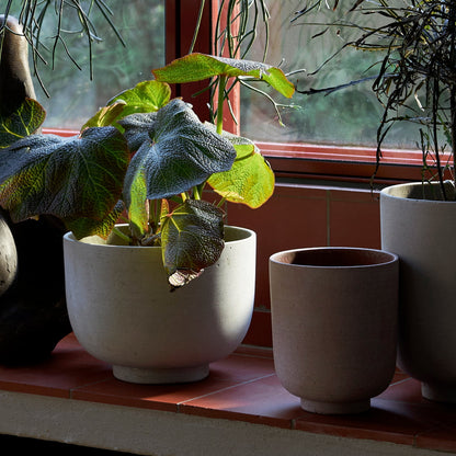 PLANT POT-COLLECT SC71-SAGE-LARGE