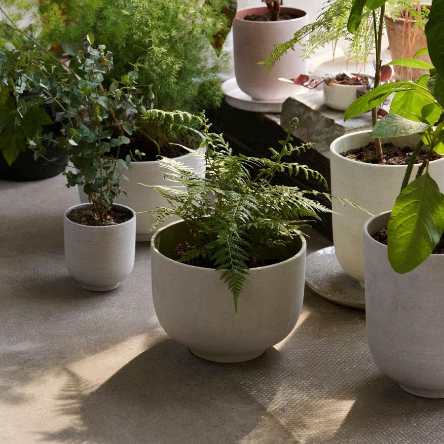 PLANT POT-COLLECT SC71 LARGE-OCHRE