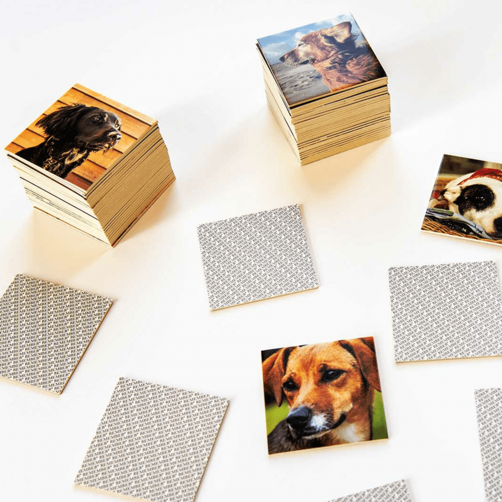 GAME-MEMORY GAME DOGS
