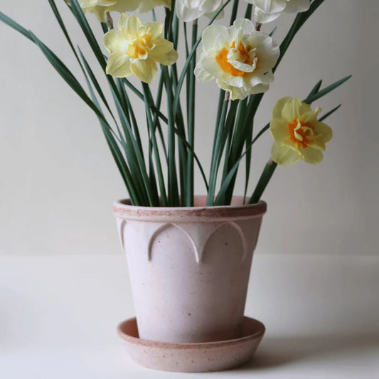 PLANT POT-ELIZABETH ROSE POT & SAUCER-DIAM.21 CM