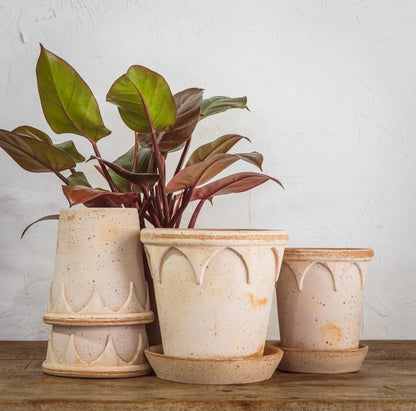PLANT POT-ELIZABETH ROSE POT & SAUCER-DIAM.21 CM