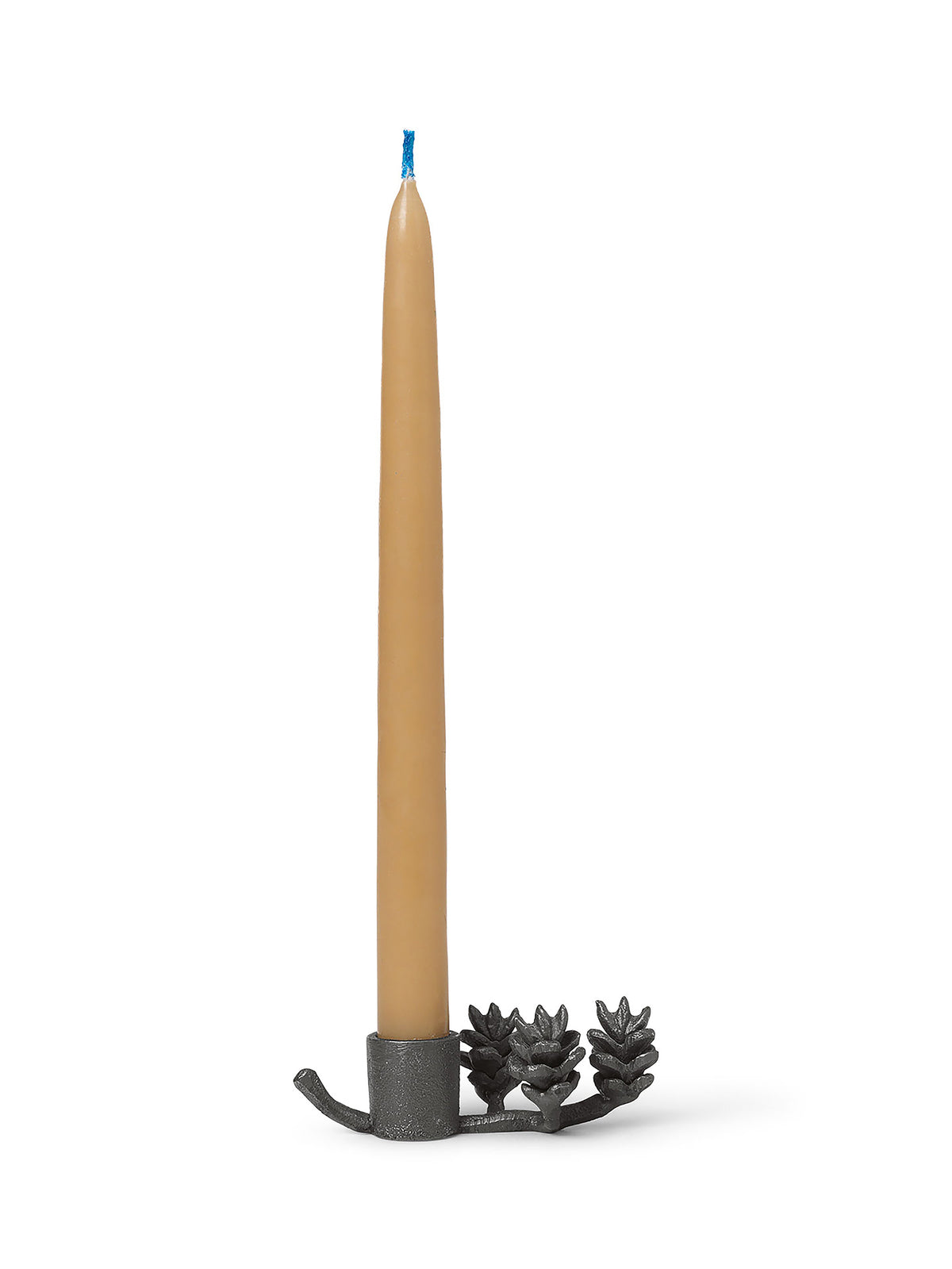 Forest Candle Holder-Black Brass