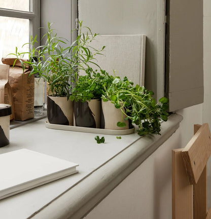 PLANT POTS-INLAY HERB POTS-SAND/BROWN