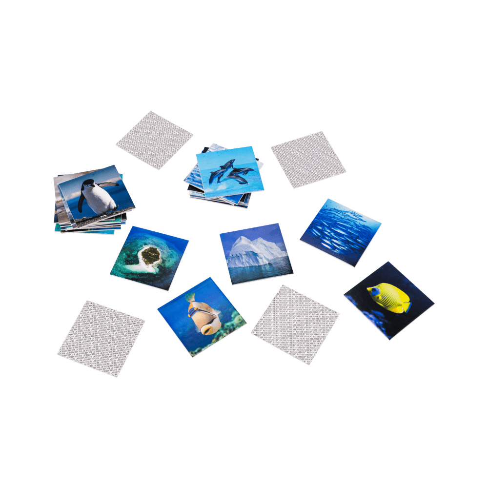 Remember memory Game-Ocean