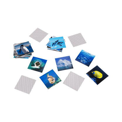 Remember memory Game-Ocean