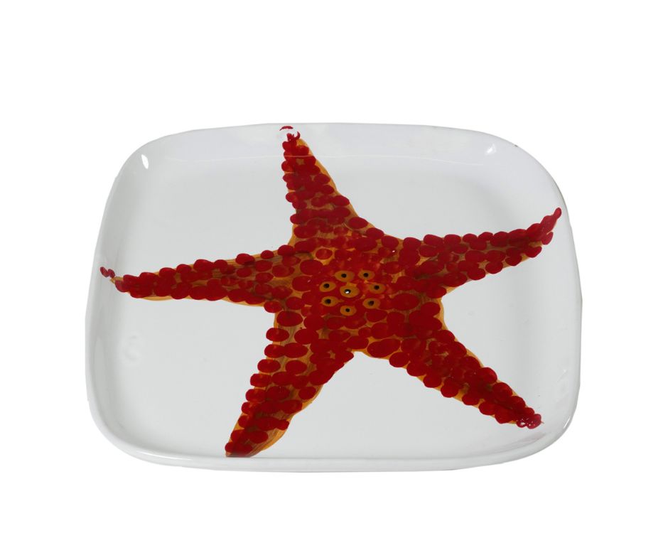 Corallo-Square platter-Starfish