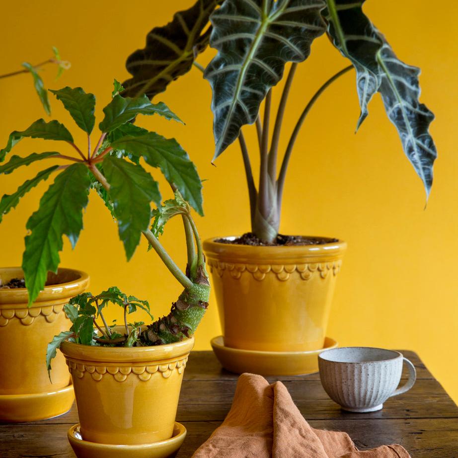 PLANT POT-COPENHAGEN GLAZED POT & SAUCER-YELLOW AMBER-DIAM.25CM