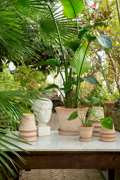 PLANT POT-COPENHAGEN RAW ROSA POT & SAUCER-DIAM.21 CM