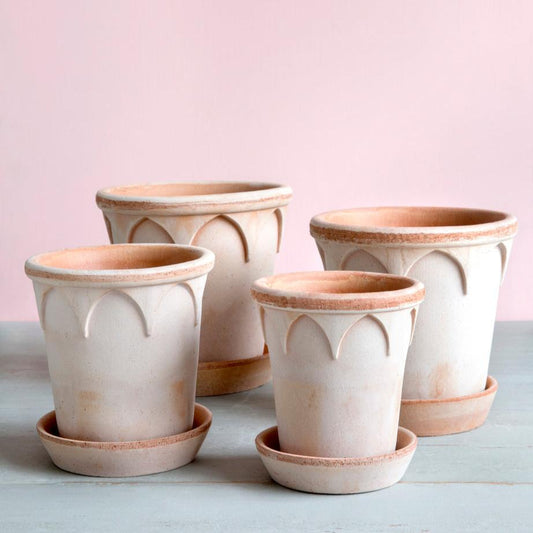 PLANT POT-ELIZABETH ROSE POT & SAUCER-DIAM.21 CM