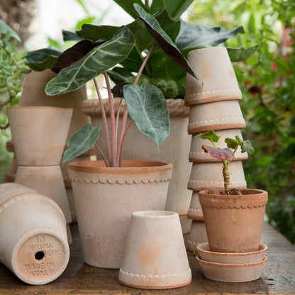 PLANT POT-HELENA ROSA POT & SAUCER-DIAM.25 CM