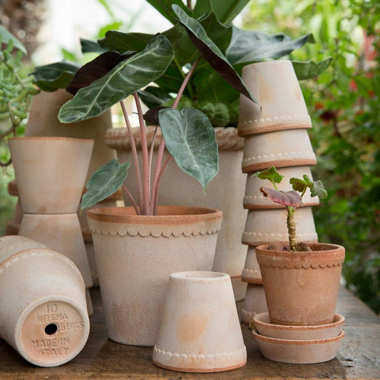 PLANT POT-HELENA ROSA POT & SAUCER-DIAM.25 CM