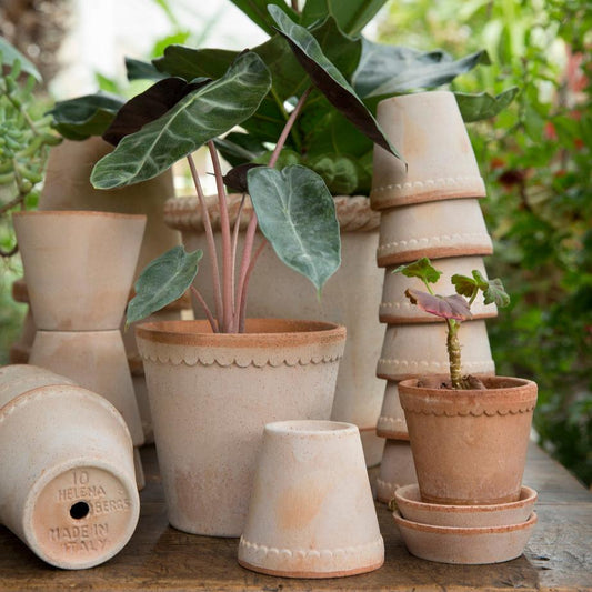 PLANT POT-HELENA RAW ROSA POT & SAUCER-DIAM.30 CM