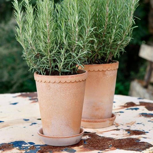 PLANT POT-HELENA RAW ROSA POT & SAUCER-DIAM.14CM-TALL