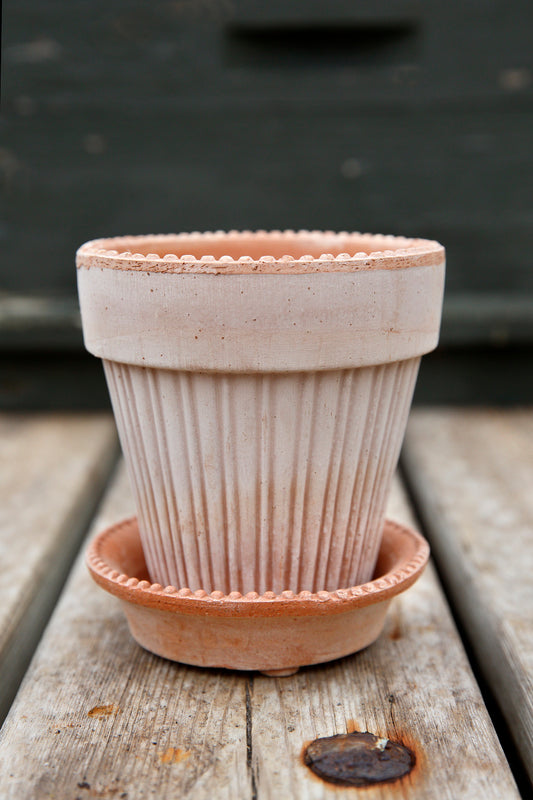 SIMONA ROSE POT+SAUCER 18 CM