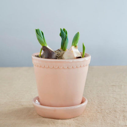 PLANT POT-HELENA GLAZED QUARTZ ROSE POT & SAUCER-DIAM.18 CM