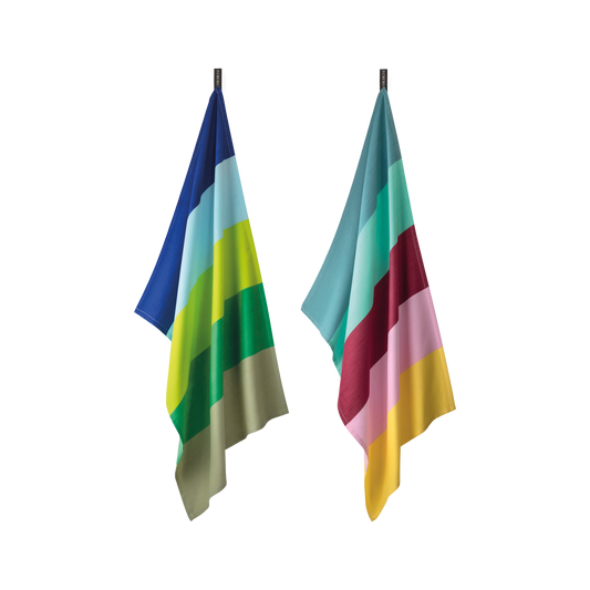 TOWEL-TEA TOWEL N.22-SET OF 2